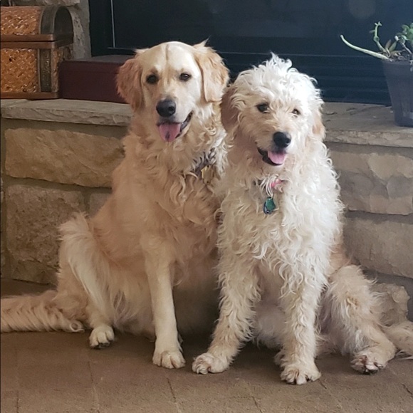 Meet your Posher, Ronald - Picture 1 of 1